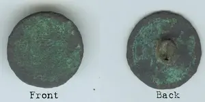 button cleaned back.webp