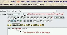 Imageinsert.webp