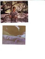 petgator.webp