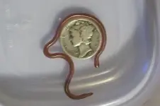 Snake.webp