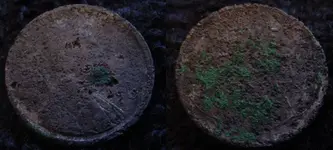 corroded wheat copy.webp