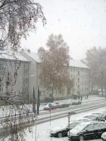 winter.webp