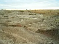 three sands adv 5-4.webp