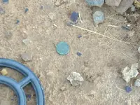 green disc.webp