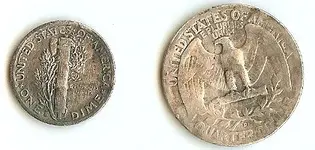 silver-back.webp