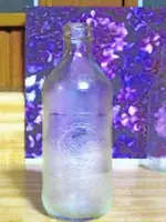 Pepsi bottle 3.webp
