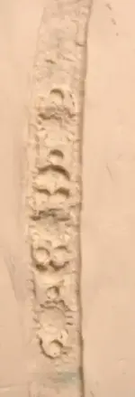 CLAY2.webp
