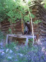 CIMG1029.webp