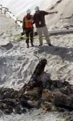 shipwreck2.webp