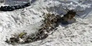 shipwreck3.webp