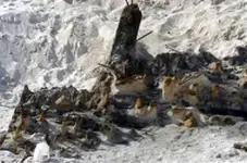 shipwreck4.webp