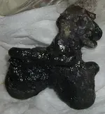 lamb2.webp