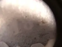DSCF4453.webp