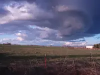 storms skeet 014.webp