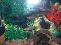 CIMG9115.webp