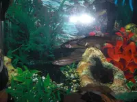 CIMG9119.webp