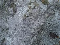 circle carvings.webp