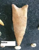 dalton.webp