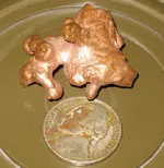 copper nugget.webp