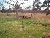 Castle 006.webp