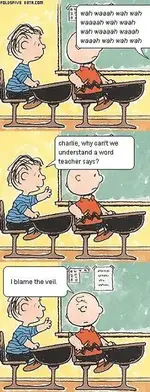 peanuts_veil.webp