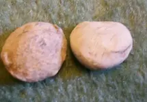 100_0099.webp