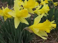429239565_c8500a6115.webp