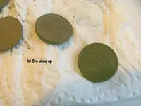 DSCF2635.webp