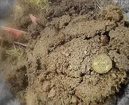 Coins & Stuff 010.webp