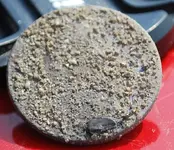 coin pics 023.webp