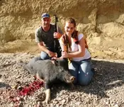 pig8.webp