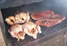 pig10.webp