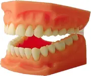 HMCL4373.webp