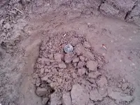 0222090922[1].webp