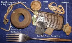 3-10-09 017Forked.webp