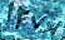 Unknown Coin.webp Unknown Coin.webp