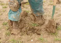 muddy.webp