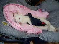 Spring on her recliner.webp