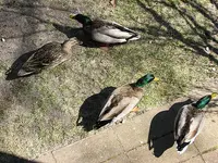 breadtime2.webp