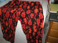 PJ.webp