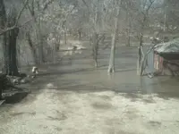 flood 09028.webp