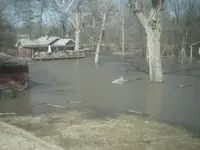 flood 09029.webp