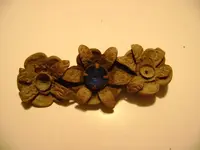 broach.webp