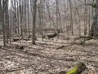 1800 park 011.webp