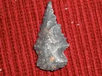 CIMG9057.webp