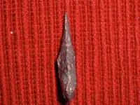CIMG9059.webp