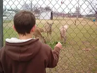day out with drew 002.webp