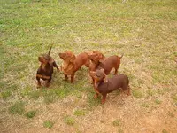 day out with drew 003.webp