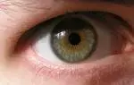 eye.webp