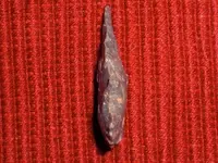 CIMG9060.webp